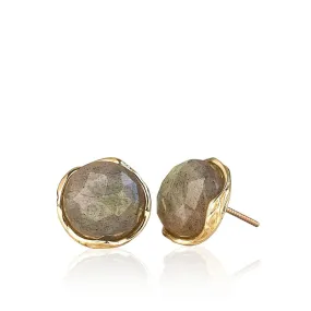 14K Yellow Gold Round Brown Labradorite 12mm Stud Earrings