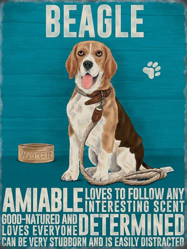 Beagle Sign