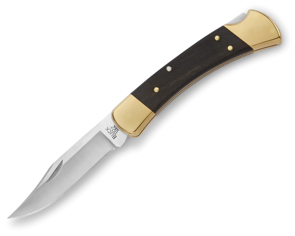 Buck 110 Folding Hunter Knife