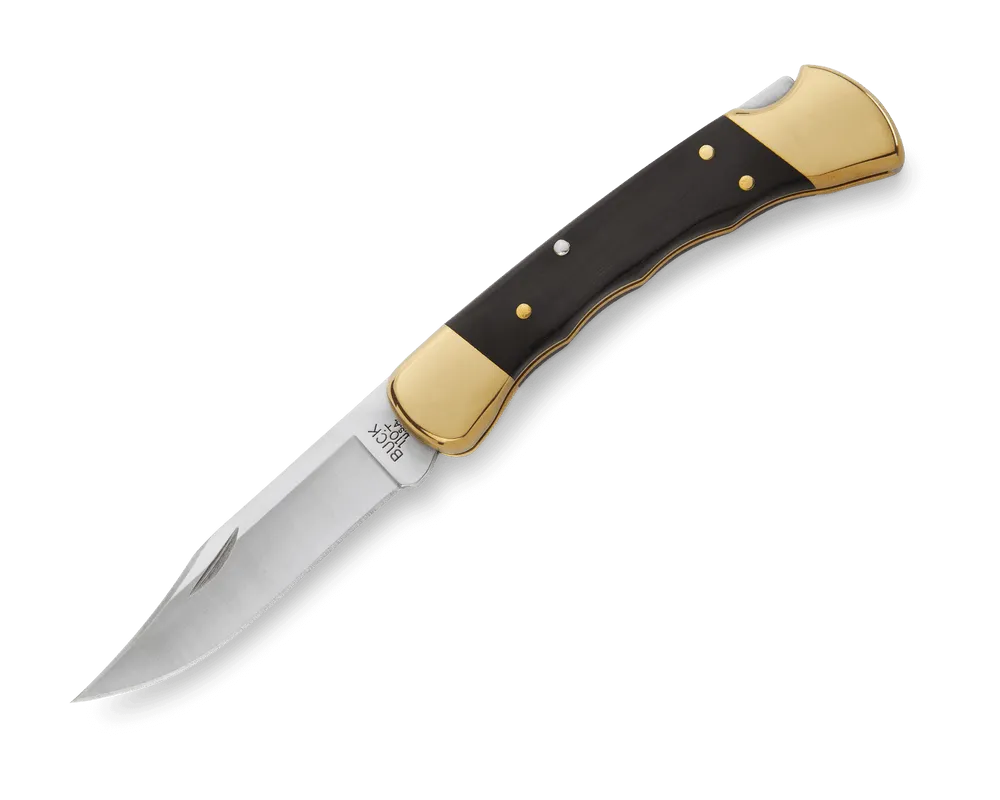 Buck 110 Folding Hunter Knife