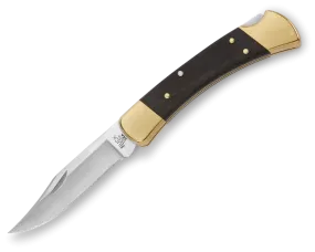 Buck 110 Folding Hunter Knife