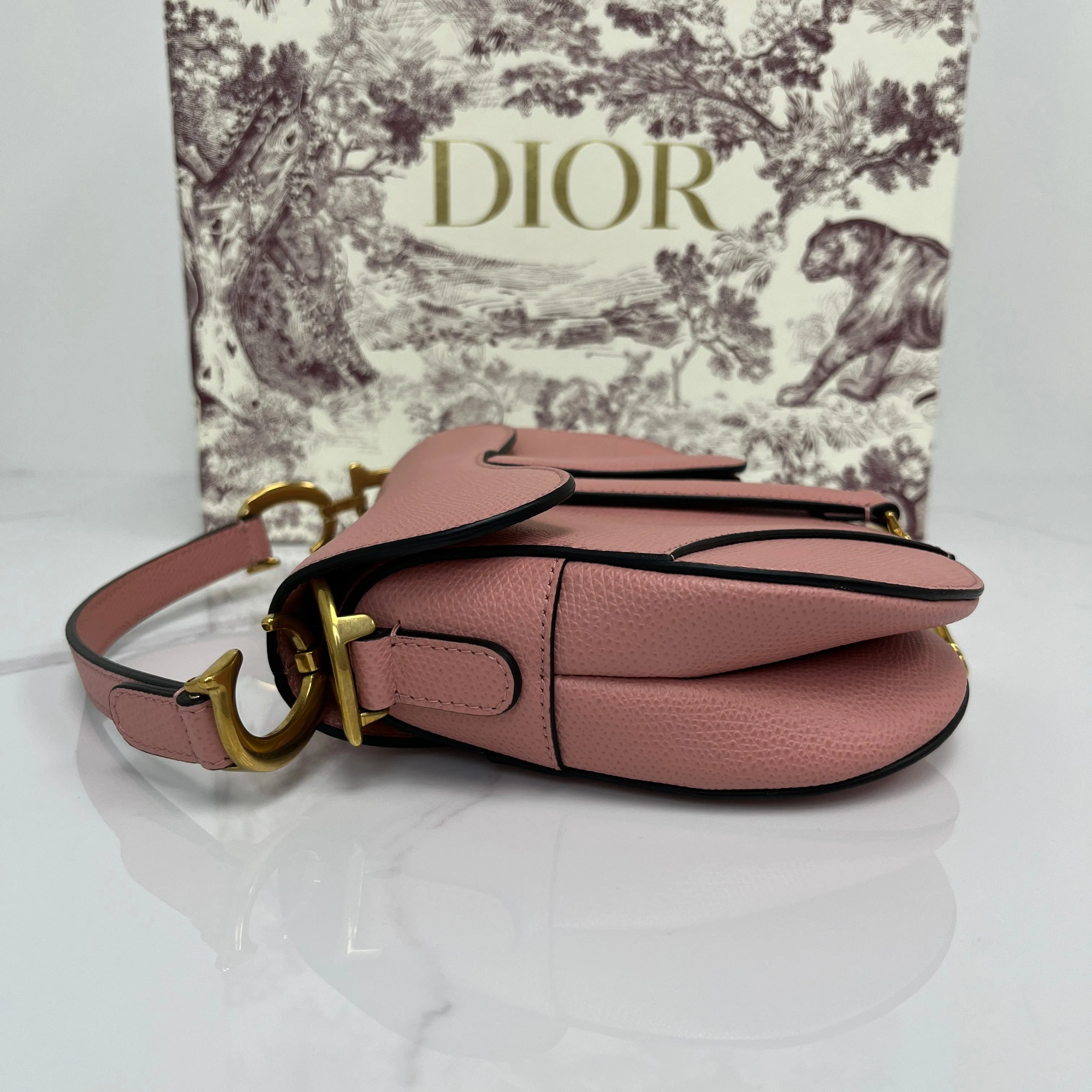 Christian Dior Mini Saddle