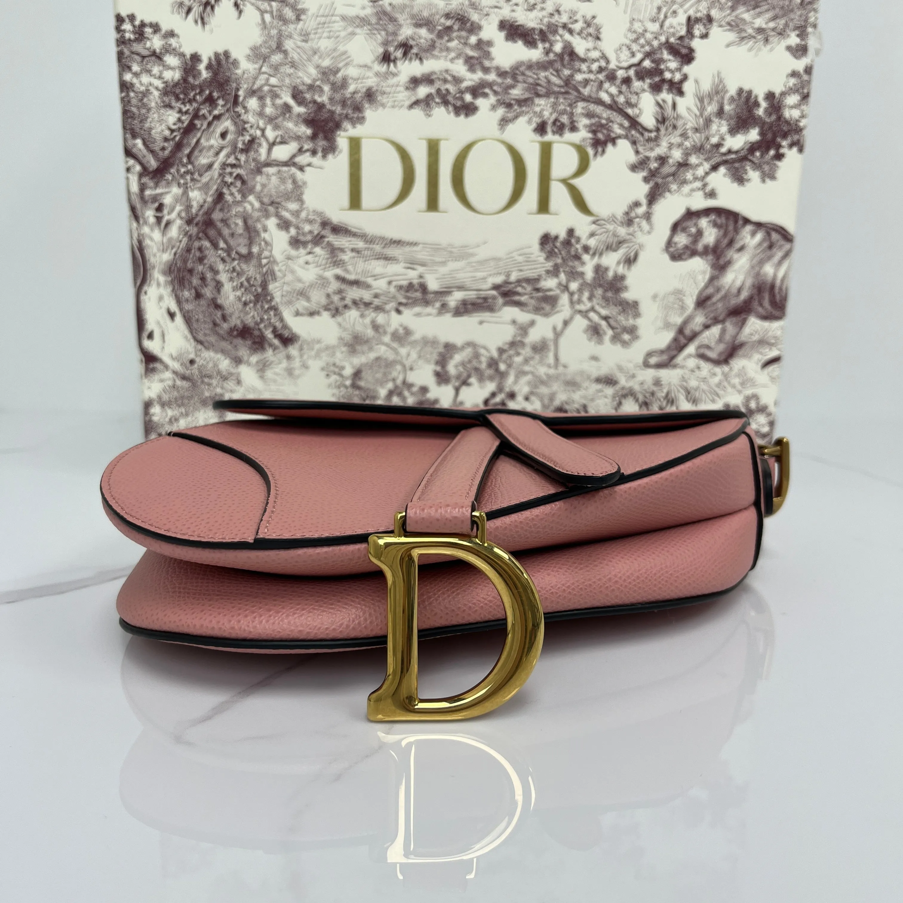 Christian Dior Mini Saddle