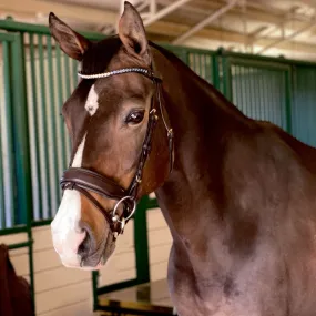 Halter Ego® Crystal Slimline Browband - Dusk To Dawn