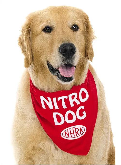 Nitro Dog Bandana