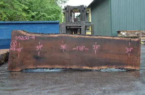 Oregon Black Walnut Slab 052021-04