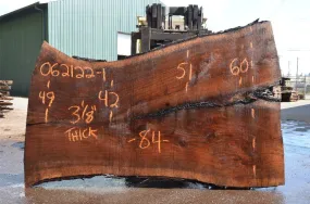 Oregon Black Walnut Slab 062122-01