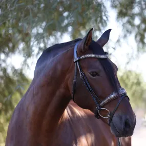 The Baroque Black Snaffle Bridle with Light Brown Padding